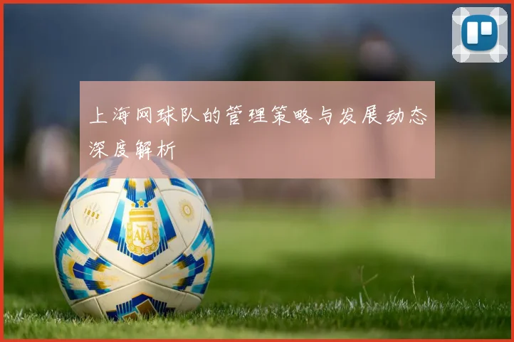 上海网球队的管理策略与发展动态深度解析